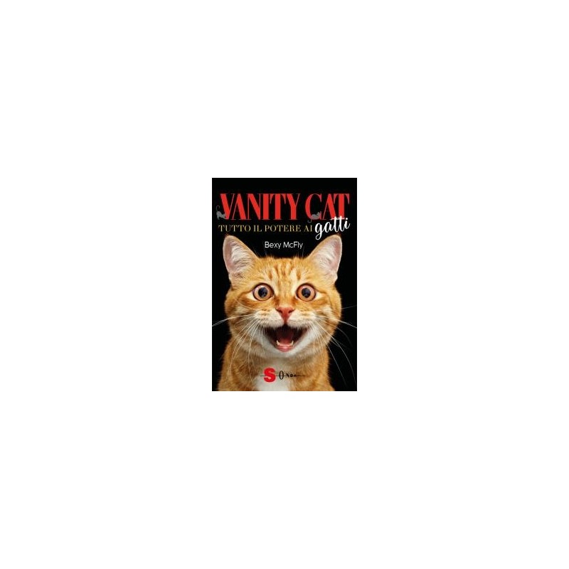 vanity-cat