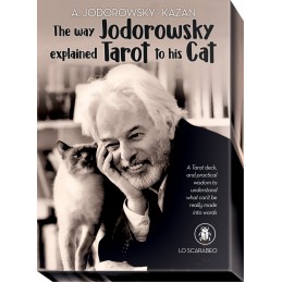 COME JODOROWSKY SPIEGò I...