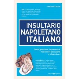 insultario-napoletano-italiano